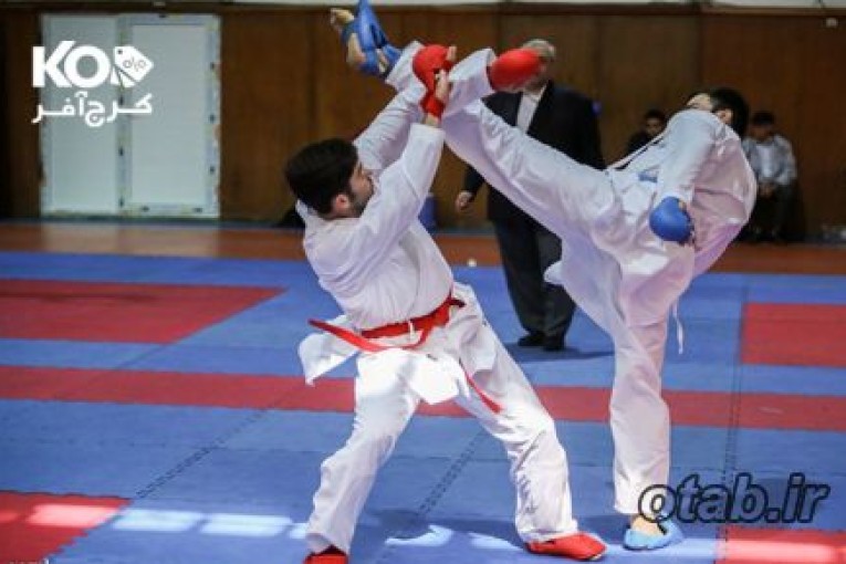 آموزش حرفه ای کاراته ، از مبتدی تا حرفه ای 