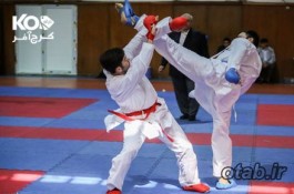آموزش حرفه ای کاراته ، از مبتدی تا حرفه ای 