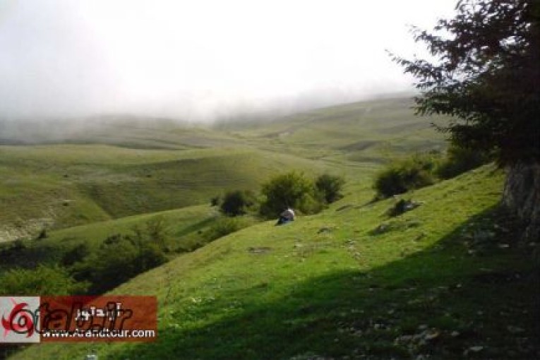 تور جنگل جهان نما تور جهان نما تعطیلات شهریور 97