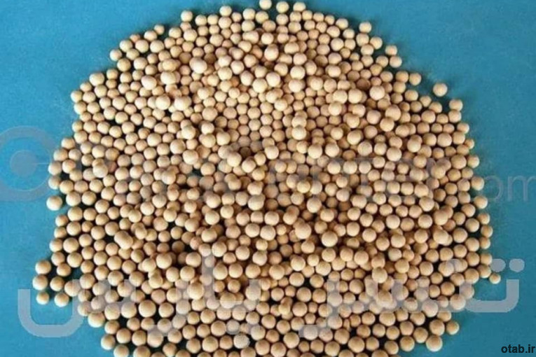 مولکولارسیو