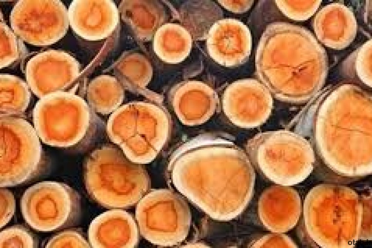 محافظ بیرنگ چوب پادنار