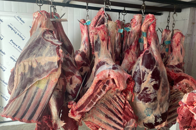 گوشت گوساله، گوسفندی کشتار روز