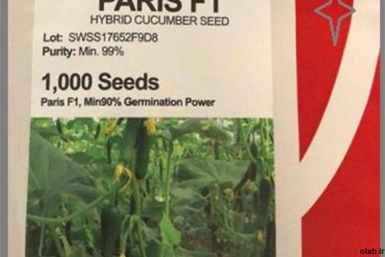 فروش بذر خیار گلخانه ای پاریس سیدوی آمریکا