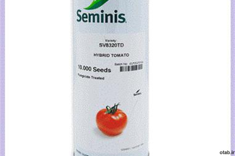 فروش بذر گوجه 8320 Seminis آمریکا