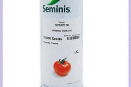 فروش بذر گوجه 8320 Seminis آمریکا