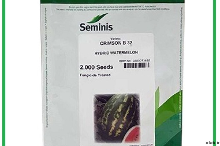 فروش بذر هندوانه پرطرفدار b32 سمینیس