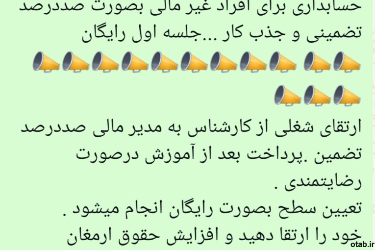 مدیر مالی پاره وقت 