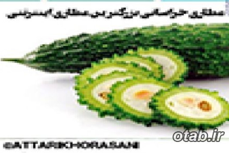 پخش گیاهان دارویی