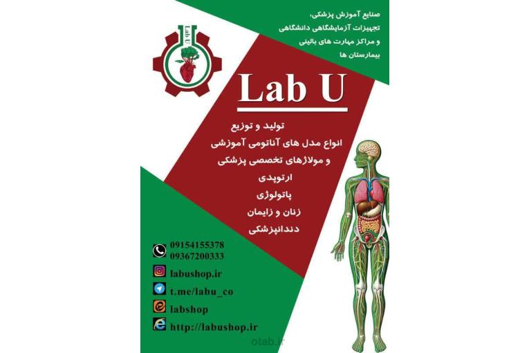 . انواع فانتوم ومدل های آناتومی مناسب  آزمایشگاه  مدارس و دانشگاه و مراکز مهارت های بالینی بیمارستان ها