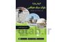قیمت بلوک سبک هبلکس >