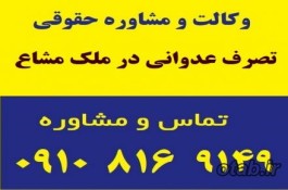 تصرف عدوانی در ملک مشاع