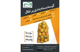 کیسه توری بسته بندی پرتقال _ اکسیر ساز شمال