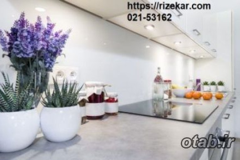 انجام کلیه خدمات نظافتی،مهمانداری و پذیرایی 