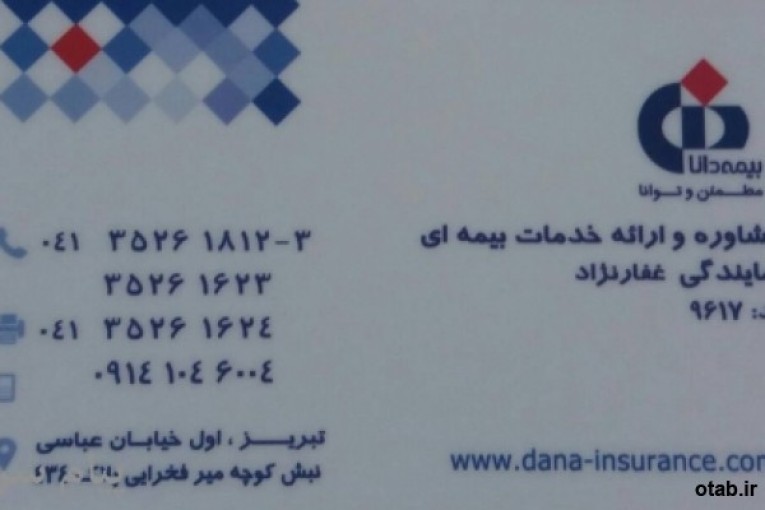 نمایندگی بیمه دانا