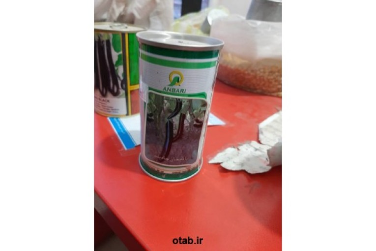 بذر بادمجان چاه بلند عنبری قوطی 100 گرمی