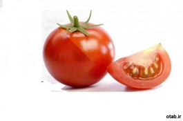بذر گوجه فرنگی جی اس ۱۲ 