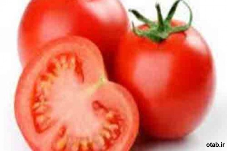 بذر گوجه فرنگی سما ، فروش بذر گوجه فرنگی سما