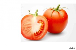 بذر گوجه فرنگی سوپر اوربانا ، فروش بذر گوجه فرنگی سوپر اوربانا