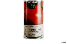 بذر گوجه فرنگی سوپر لونا آمریکا ، فروش بذر گوجه فرنگی سوپر لونا آمریکا 