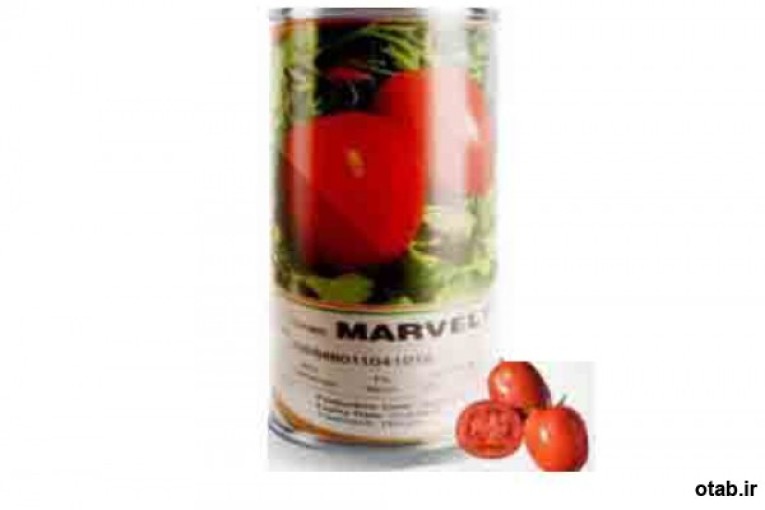 بذر گوجه پرمحصول مارول اسپانیا