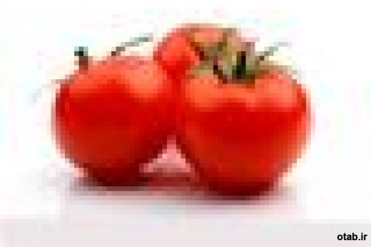 بذر گوجه فرنگی سوپرچف امریکا super chef،بذر گوجه