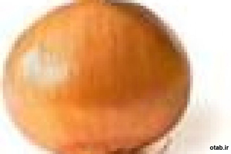 بذر پیاز والنسیا،خرید و فروش بذر پیاز والنسیا