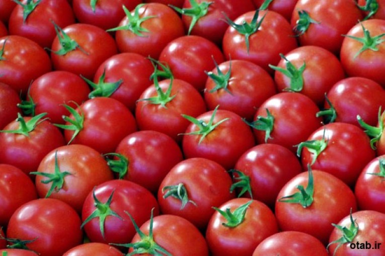 فروش رب گوجه فرنگی-رب گوجه فرنگی
