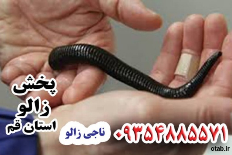 پخش زالو ناجی