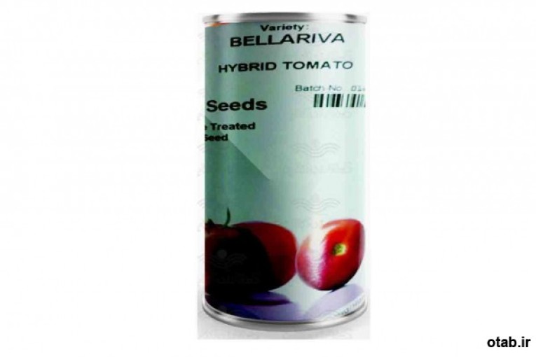 بذر گوجه فرنگی بلاریوا - قیمت بذر گوجه فرنگی بلاریوا