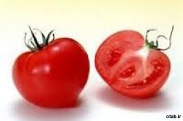 بذر گوجه فرنگی پتو پراید - قیمت بذر گوجه فرنگی پتو پراید