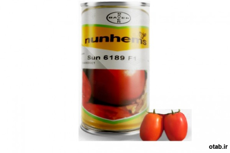 بذر گوجه فرنگی سانسید ۶۱۸۹ - قیمت بذر گوجه فرنگی سانسید ۶۱۸۹