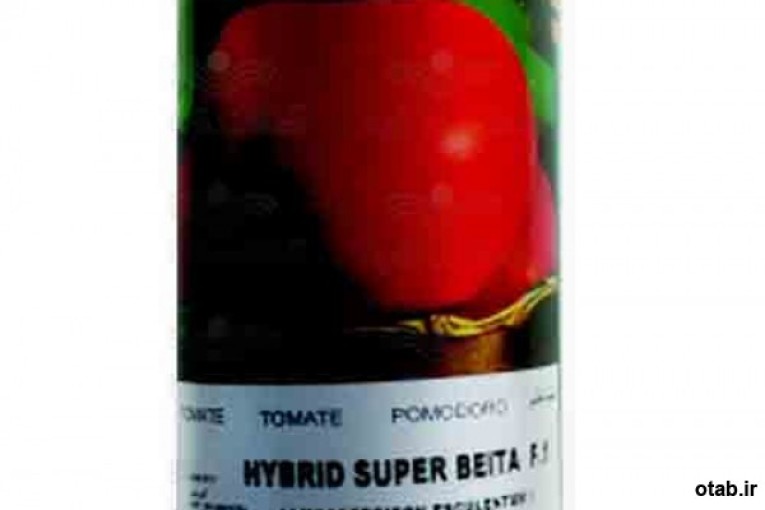 بذر گوجه فرنگی سوپر بیتا - قیمت بذر گوجه فرنگی سوپر بیتا