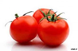 بذر گوجه فرنگی هنگام - قیمت بذر گوجه فرنگی هنگام