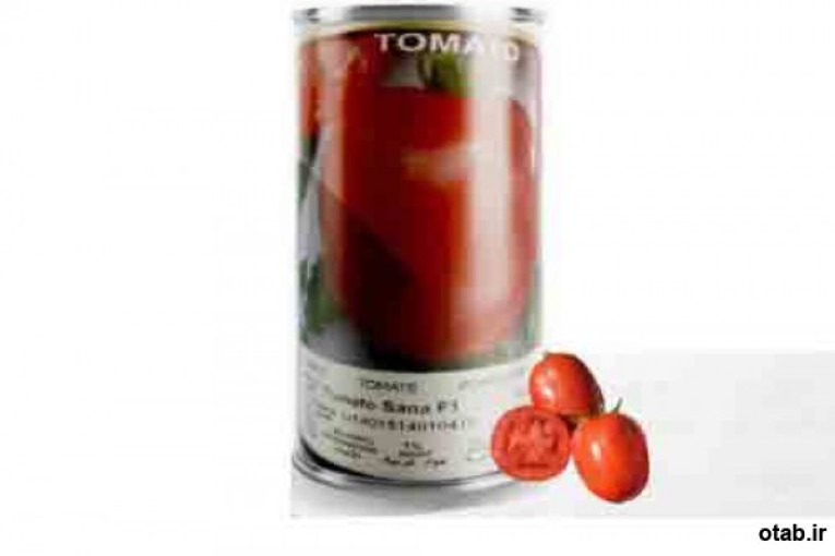 بذر گوجه فرنگی ثنا  - فروش بذر گوجه فرنگی ثنا 