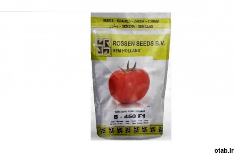 بذر گوجه گلخانه ای بی ۴۵۰ روزن سید هلند - فروش بذر گوجه گلخانه ای بی ۴۵۰ روزن سید هلند