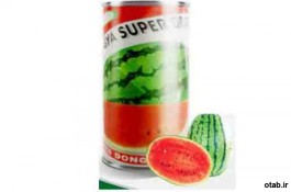 بذر هندوانه سوپر دراگون - فروش بذر هندوانه سوپر دراگون