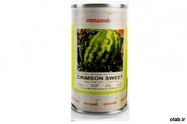 بذر هندوانه کریمسون سوئیت هلندی - قیمت بذر هندوانه کریمسون سوئیت هلندی