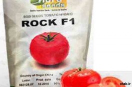 بذر گوجه فرنگی راک هیبرید اف یک - قیمت بذر گوجه فرنگی راک هیبرید اف یک
