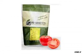 بذر گوجه فرنگی پربار تمپلر  - قیمت بذر گوجه فرنگی پربار تمپلر 