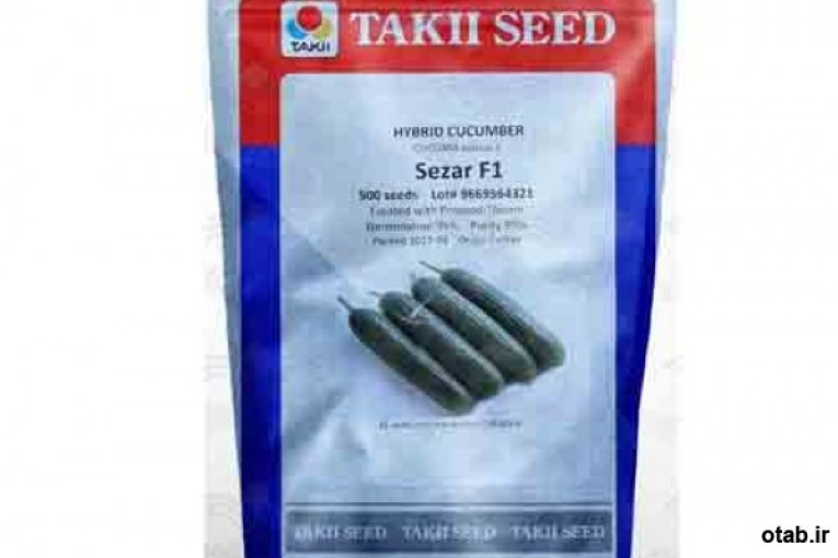 بذر خیار گلخانه ای سزار تاکی ژاپن  - قیمت بذر خیار گلخانه ای سزار تاکی ژاپن 