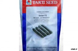بذر خیار گلخانه ای سزار تاکی ژاپن  - قیمت بذر خیار گلخانه ای سزار تاکی ژاپن 