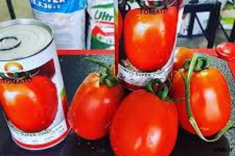  بذر گوجه فرنگی سوپرچف امریکا super chef