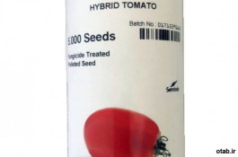  بذر گوجه فرنگی کیشمات  - قیمت  بذر گوجه فرنگی کیشمات 