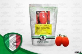 بذر گوجه فرنگی لئوناردو ایتالیایی بدون پلت