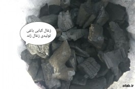 زغال قلیانی و کبابی و صادراتی