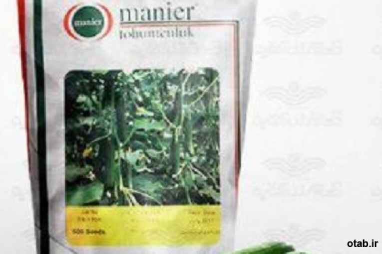 بذر خیار گلخانه ای پرگل ام آر سی 07