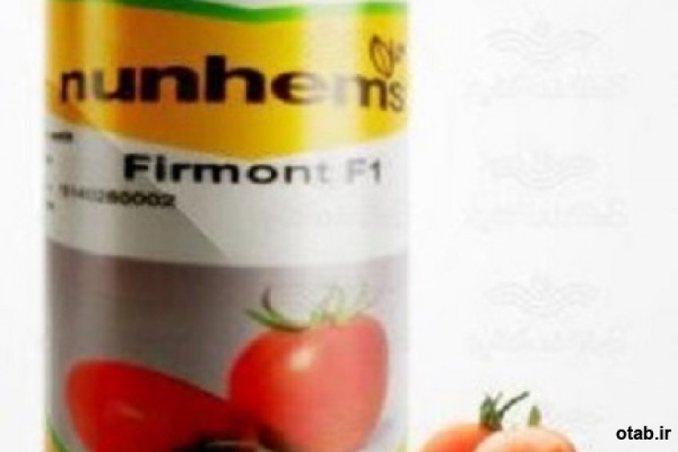 فروش بذر گوجه فرنگی ضد ویروس فرمونت بایر