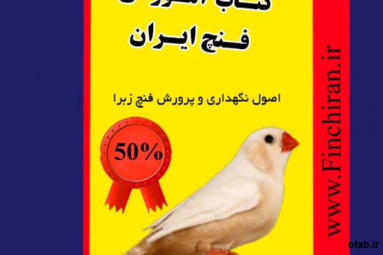 کتاب آموزشی فنچ