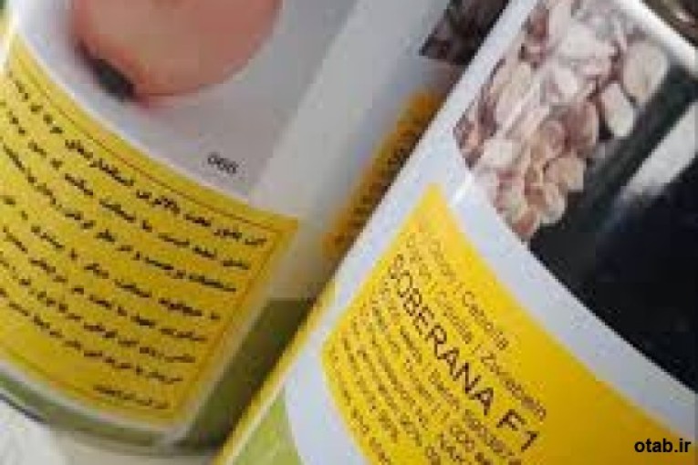 بذر پیاز سوبرانا Soberana F۱