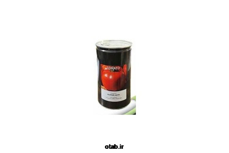 بذر گوجه فرنگی سوپر  032 کانیون super  032 canyon tomato